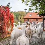 Gosciniec Bocianowo * Stręgiel