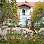 Gosciniec Bocianowo Stręgiel