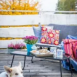 Alloggio in famiglia Gosciniec Bocianowo Stręgiel