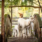 Gosciniec Bocianowo *