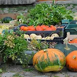 Alloggio in famiglia Gosciniec Bocianowo *