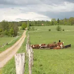 Gosciniec Bocianowo Stręgiel