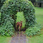 Gosciniec Bocianowo Stręgiel
