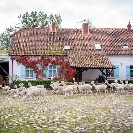 Gosciniec Bocianowo * Stręgiel
