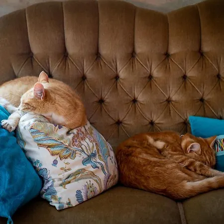 Ubytování v soukromí Gosciniec Bocianowo *