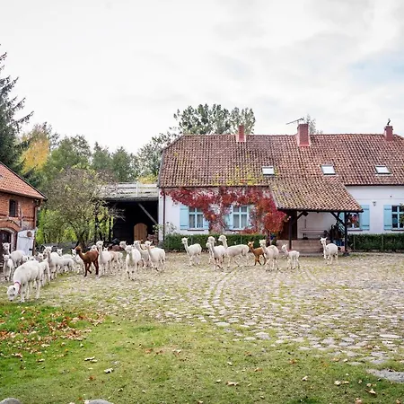Проживание в семье Gosciniec Bocianowo