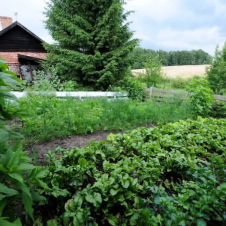 Privatunterkunft Gosciniec Bocianowo Stręgiel