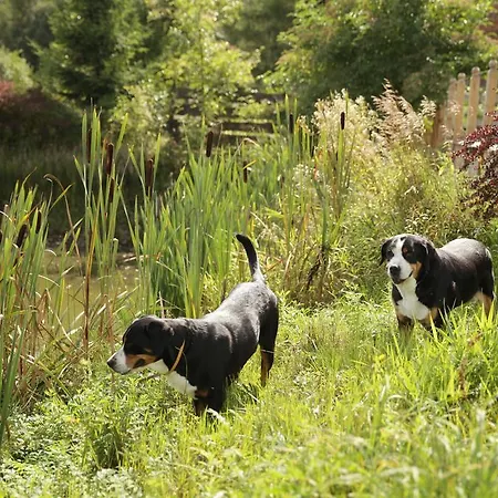 Gosciniec Bocianowo Stręgiel