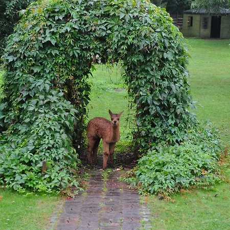 Gosciniec Bocianowo Stręgiel