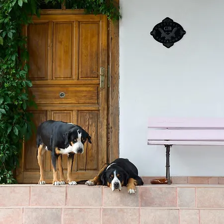 Gosciniec Bocianowo *