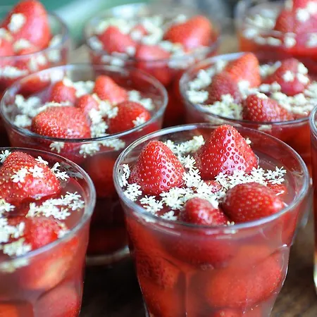 Privatunterkunft Gosciniec Bocianowo *