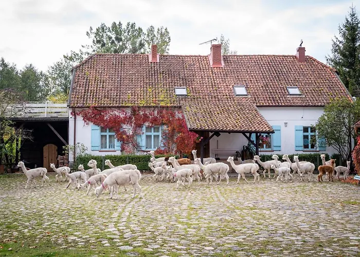 Gosciniec Bocianowo * Stręgiel