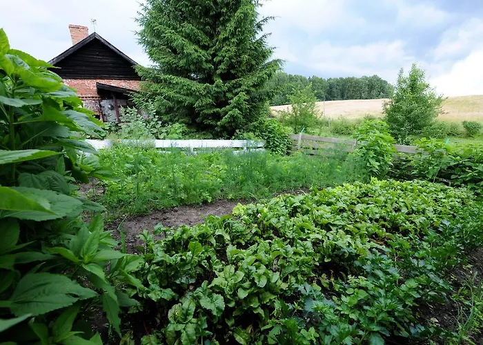 Accommodatie bij particulieren Gosciniec Bocianowo Stręgiel