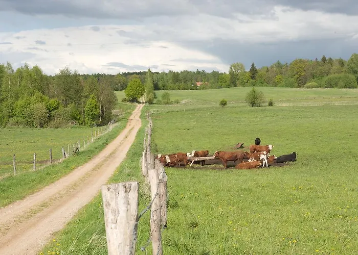 Gosciniec Bocianowo Stręgiel